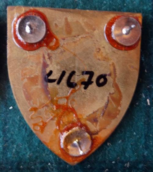 SADF 33 Field Workshop Flash. Pins Intact (66)