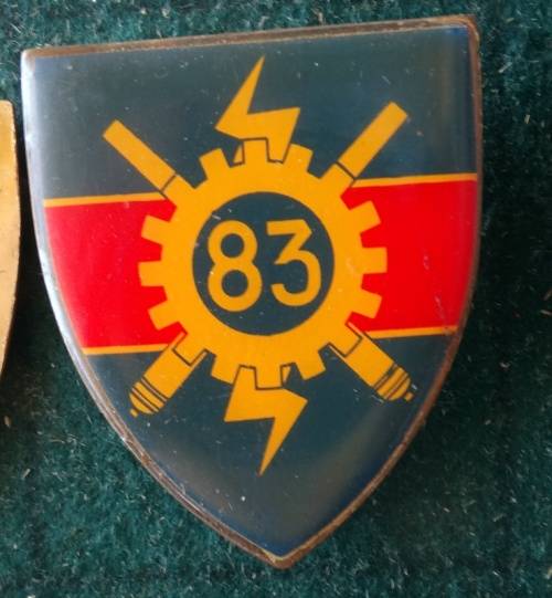 SADF 83 Technical Stores Flash. Pins Intact (74)