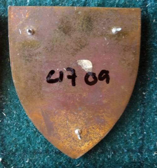 SADF 83 Technical Stores Flash. Pins Intact (74)