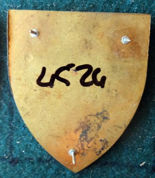 SADF 45 Survey Squadron  Flash. Pins Intact (77)