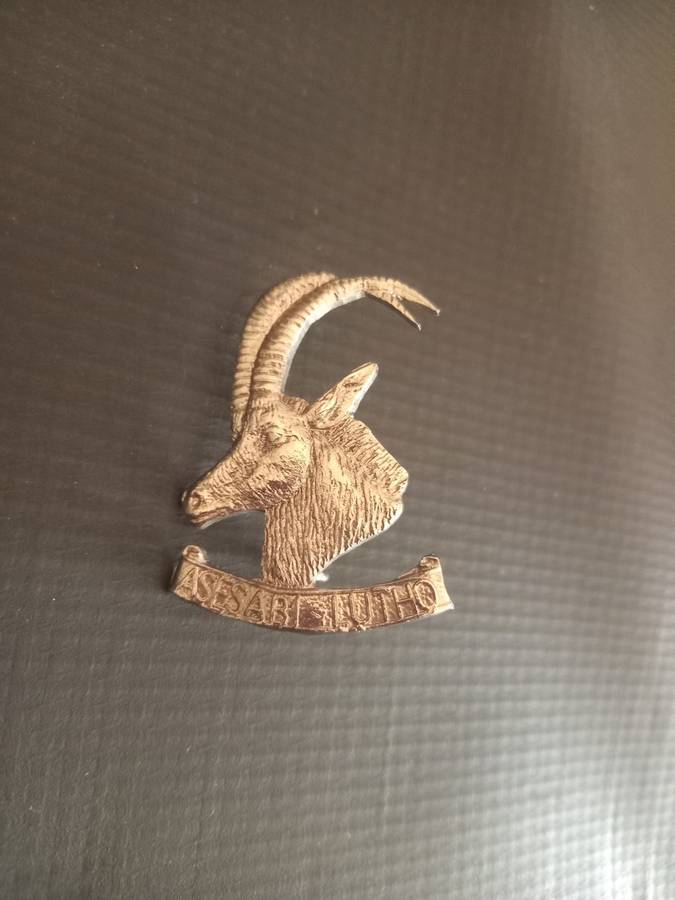 Rhodesian Armoured Car Regiment cap badge. See description