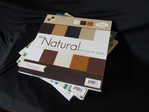 DCWV PREMIUM CARDSTOCK STACK  12"X12" NATURALS STACK
