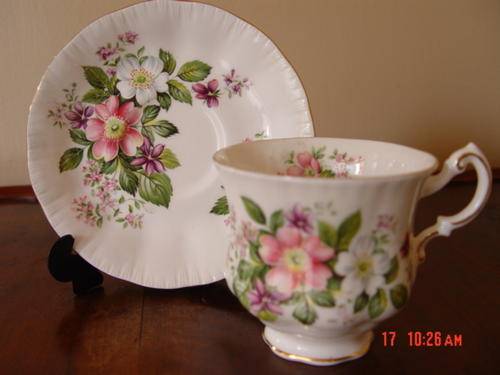 PARAGON DUO A FLOWER FESTIVAL