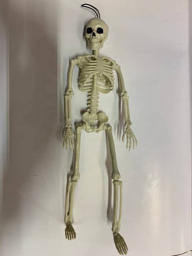 30cm Skeleton Decoration