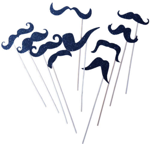 Photo props- Photo Booth Props on sticks- 10 per pack