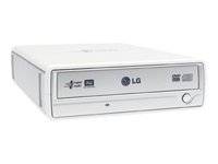 LG Electronics GSA-5163D External 16X Super-Multi Triple Format DVD Writer