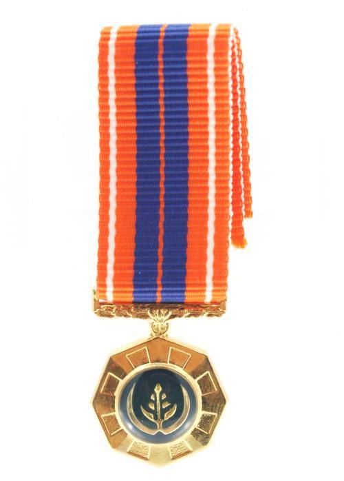 Miniature Pro Patria Medal with raised epoxy EF