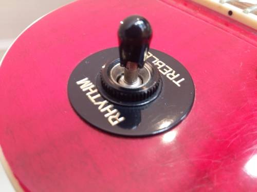 Epiphone Slash Les Paul Snakepit [Limited Edition]