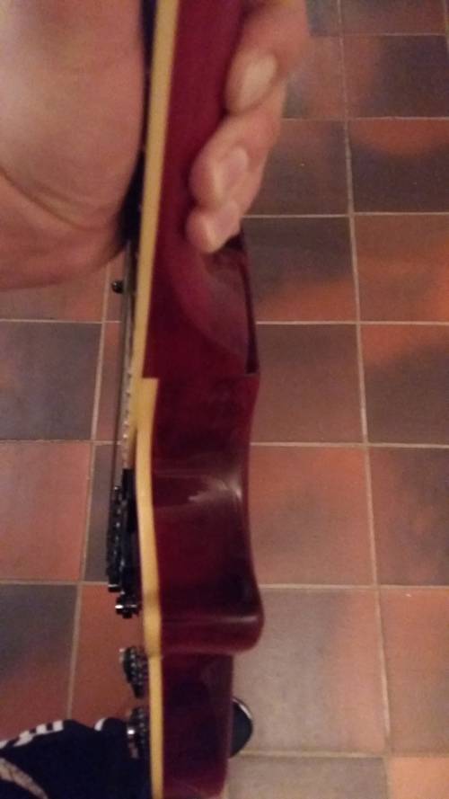 Epiphone Slash Les Paul Snakepit [Limited Edition]