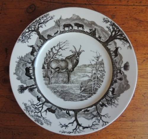 WEDGEWOOD RACK PLATE - KRUGER NATIONAL PARK, ROAN ANTELOPE