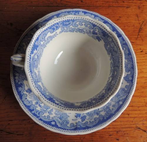 COPELAND SPODE DUO - "RHINE"