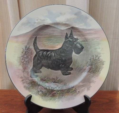 ROYAL DOULTON CABINET PLATE - "SCOTTISH TERRIER"