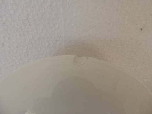 ROYAL ALBERT COFFEE DUO - "OLD COUNTRY ROSES"