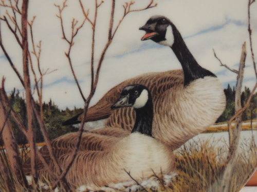 DOMINION CHINA LTD ONTARIA CANADA PLATE - "NESTING" - BOXED WITH COA