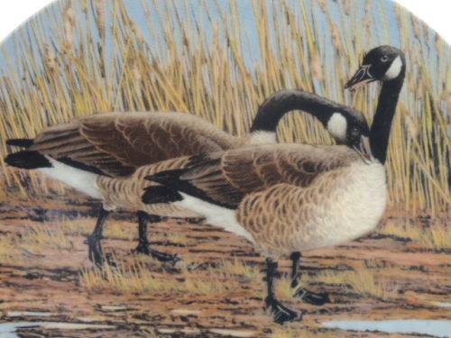 DOMINION CHINA LTD ONTARIA CANADA PLATE - "COURTSHIP" - BOXED WITH COA
