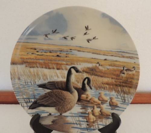 DOMINION CHINA LTD ONTARIA CANADA PLATE - "THE FAMILY" - BOXED WITH COA