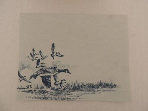 DOMINION CHINA LTD ONTARIA CANADA PLATE - "THE LANDING" - BOXED WITH COA