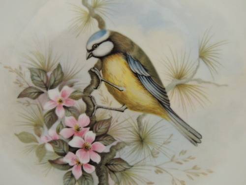 ROYAL ALBERT PLATE FROM THE WOODLAND BIRDS COLLECTION - "BLUE TITMOUSE"