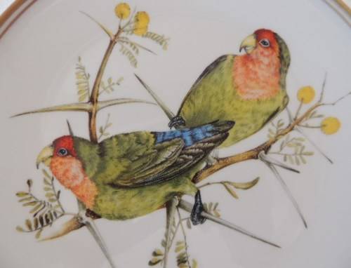 HERITAGE COLLECTION BEAUTIFUL BIRDS OF SOUTH AFRICA'S WILDS - ROSY FACED LOVE-BIRD