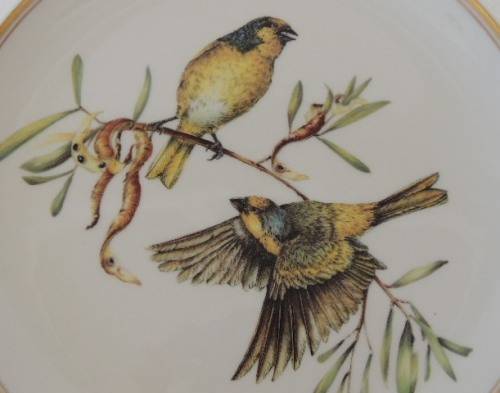 HERITAGE COLLECTION BEAUTIFUL BIRDS OF SOUTH AFRICA'S WILDS - CAPE CANARY