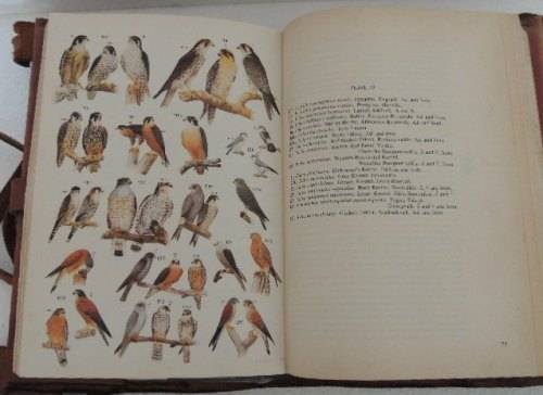 ROBERTS BIRDS OF SOUTH AFRICA LEATHER BOUND BOOK - McLACHLAN & LIVERSAGE