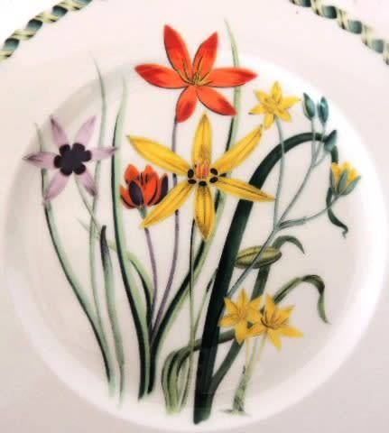 Portmeirion Ladies Flower Garden Plate 21.5 cm (Hypnoxis Stellata) RESERVED FOR PIETER