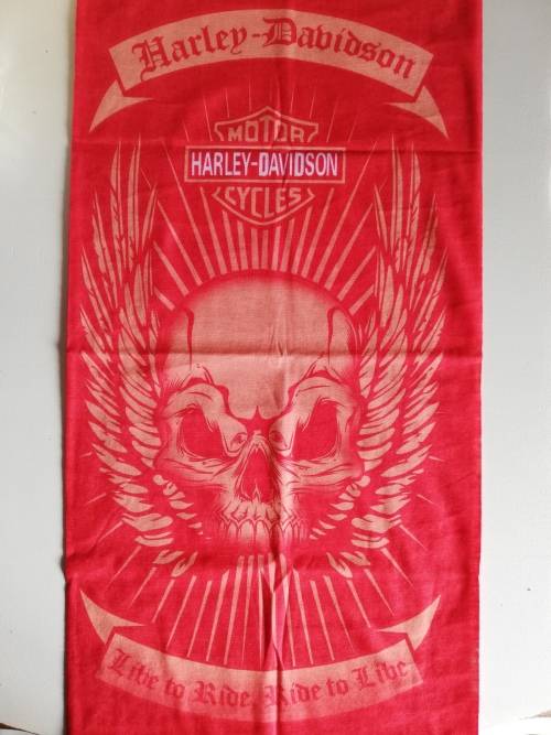 ADULT FACE BUFF HARLEY DAVIDSON - Seamless
