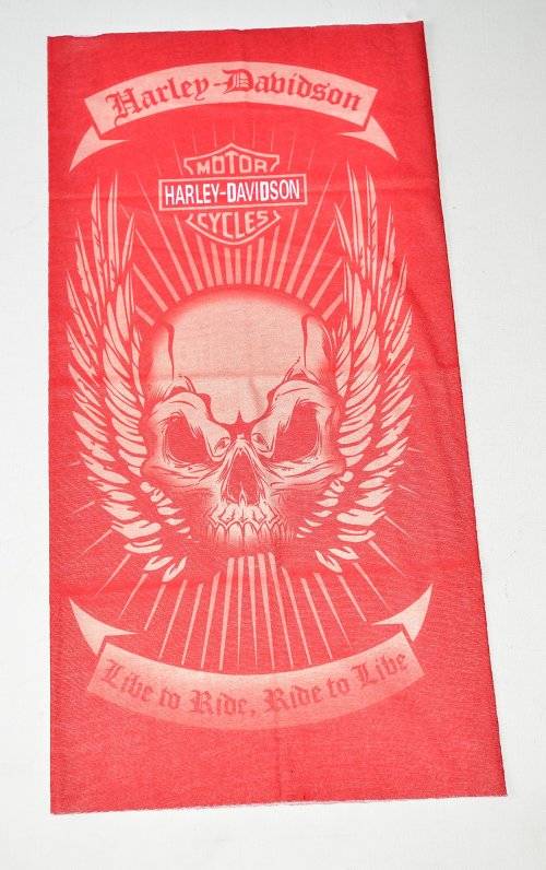 ADULT FACE BUFF HARLEY DAVIDSON - Seamless