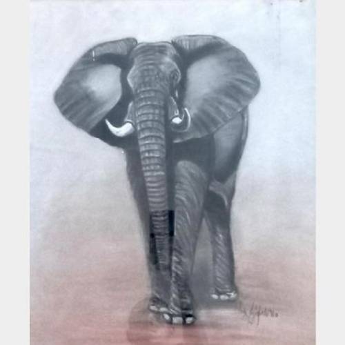 Mack Mojapelo framed pastel on paper african wildlife art