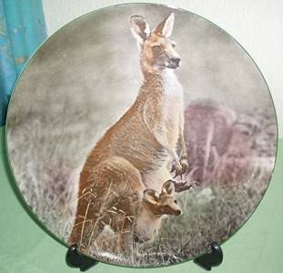 **wOw** Royal doulton Large plate monther and child kangaroo. Valuable