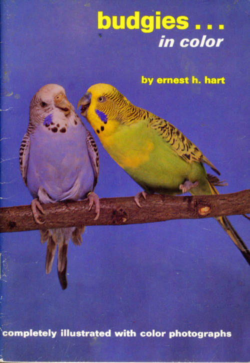 [B:2:S:CC]-Budgies in Color - Ernest H Hart