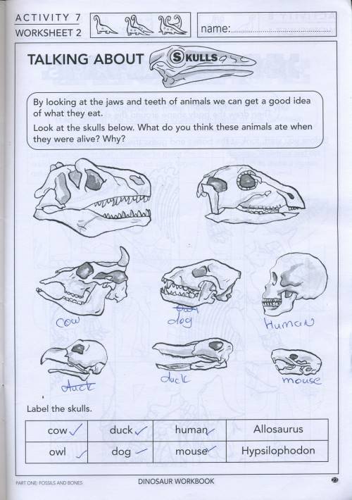 [B:2:S:CC]-Themes for enquiring minds. Book One. Dinosaur Workbook. - Stella Hortop and Colleen Tatz