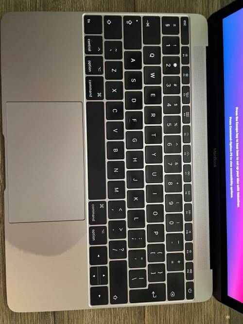 Apple MacBook (Retina 12-inch, 2017) Space Gray