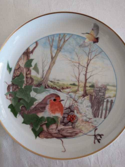 ARZBERG BIRDS OF THE COUNTRY YEAR Plate  December ROBIN
