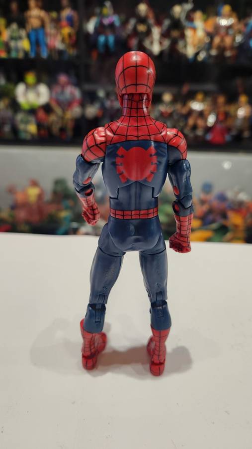 Marvel Legends Spider-Man Action Figure