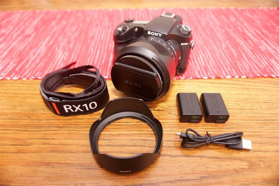 SONY RX10 III with F2.4-4 large-aperture 24-600mm Zoom Lens
