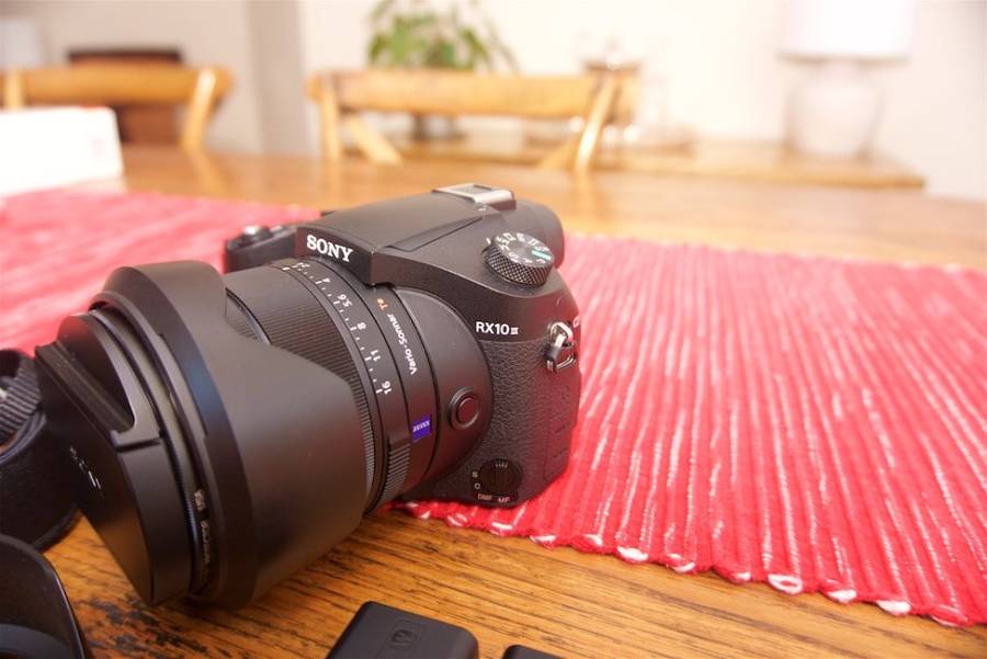 SONY RX10 III with F2.4-4 large-aperture 24-600mm Zoom Lens