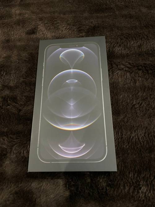 iphone 12 pro max 256gb
