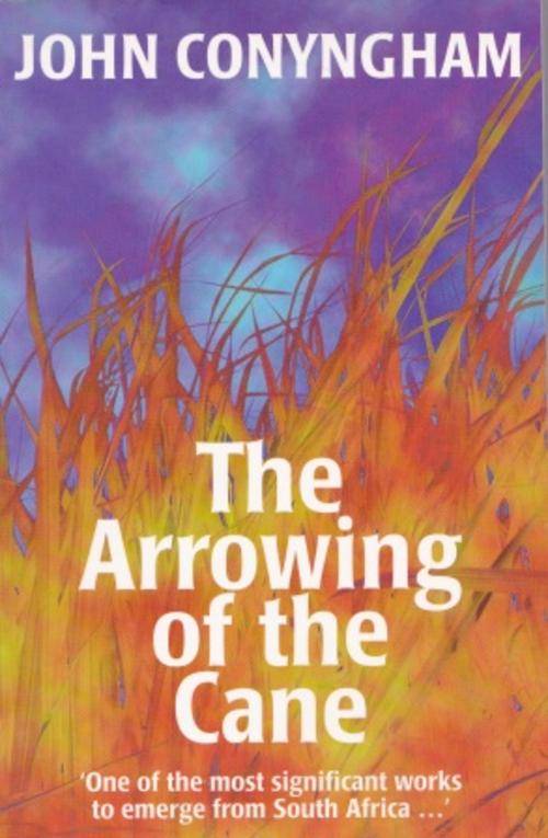 Arrowing of the Cane by John Conyngham