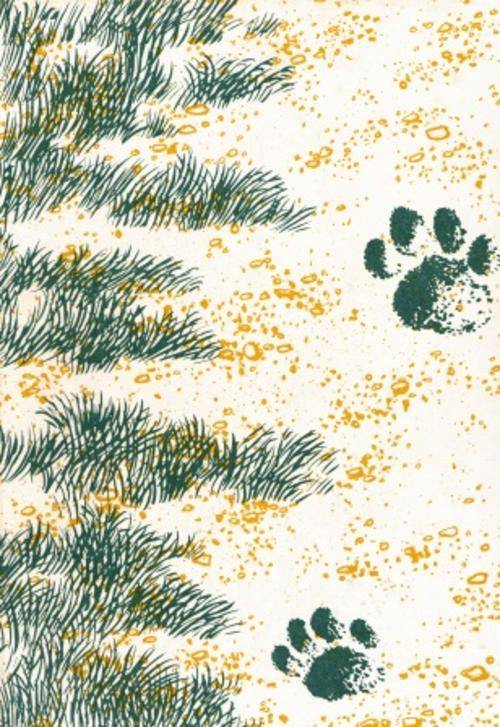 Born Free a Lioness of Two worlds by Joy Adamson   FIRST EDITION