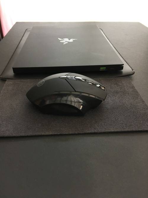 2019 Razer Blade Stealth 13