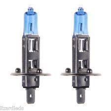 H1, H3, H4 and H7 Globes(WHOLESALE AND STOCK)