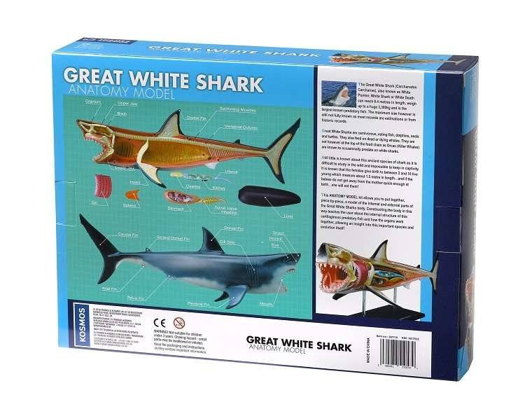 Nature Discovery Animal Anatomy Great White Shark