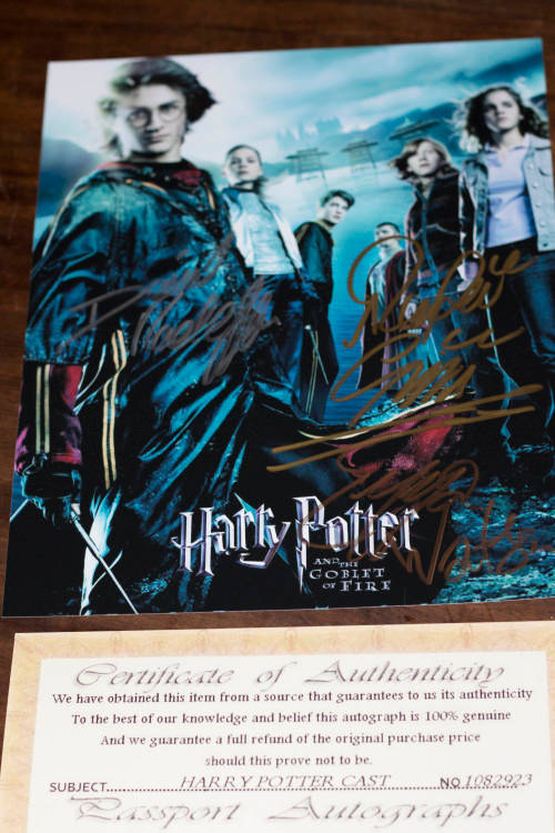 Harry Potter photo signed by 3 lead actors with COA