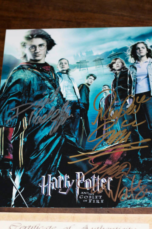 Harry Potter photo signed by 3 lead actors with COA