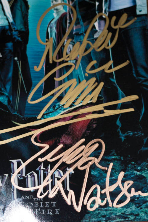 Harry Potter photo signed by 3 lead actors with COA