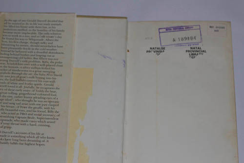 1ST EDITION: GERALD DURRELL Beasts in my Belfry 1973 (ex library) - Fantastic condition