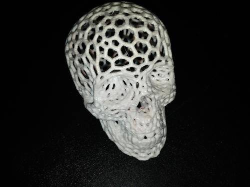 Skull (Voronoi style)