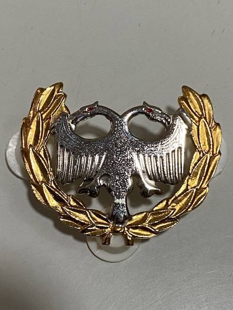 S.A. Airforce Protection Badge