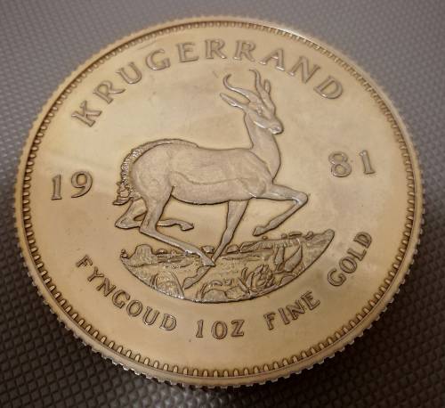 Replica Display Krugerrand. 13cm Diameter. Weighted. Plastic Item